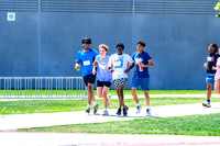 NZ8_0554