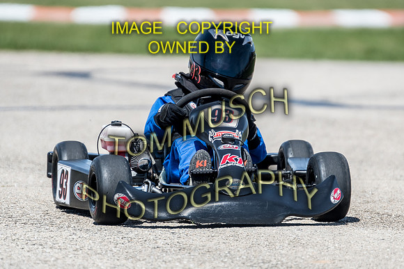 D50_5528