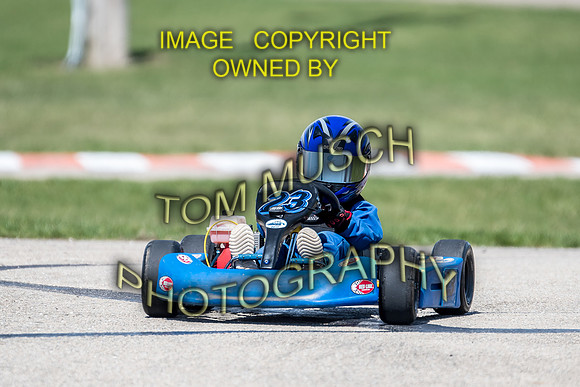D50_5531