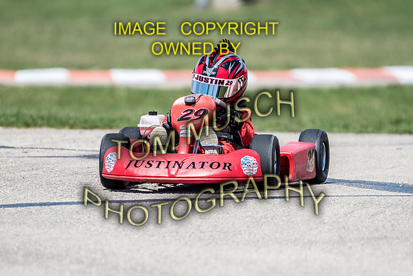D50_5534