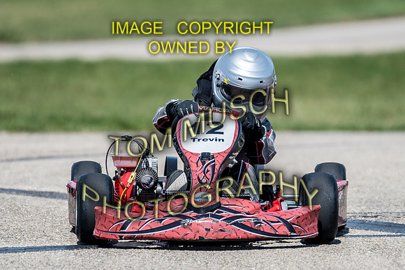 D50_5537
