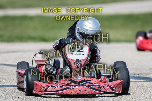 D50_5538