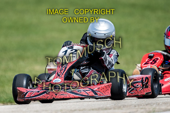 D50_5548