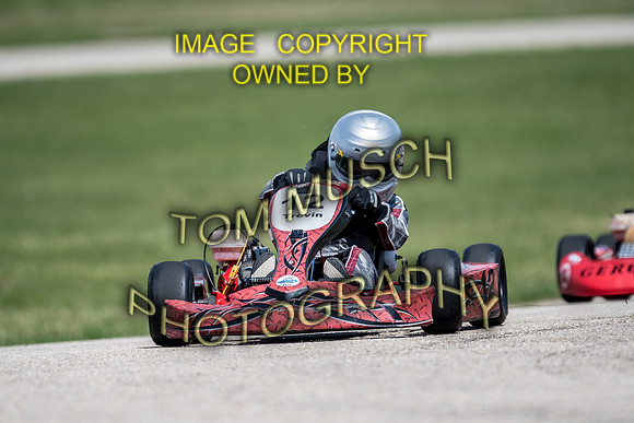 D50_5558