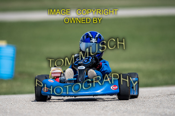 D50_5564