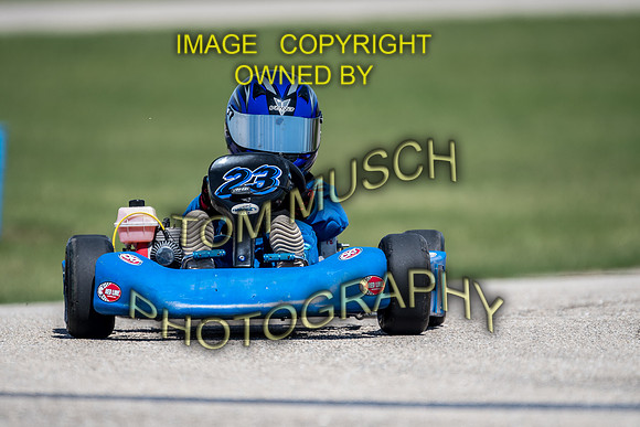 D50_5565