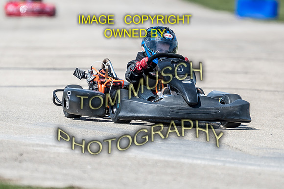 D50_5578