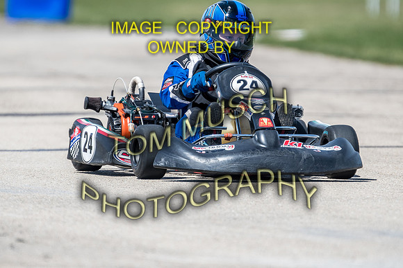 D50_5594
