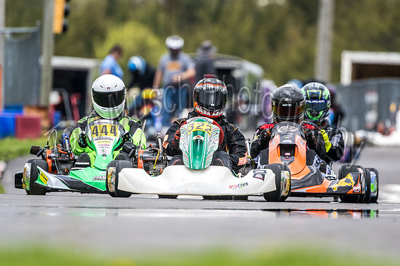NZ9_4311