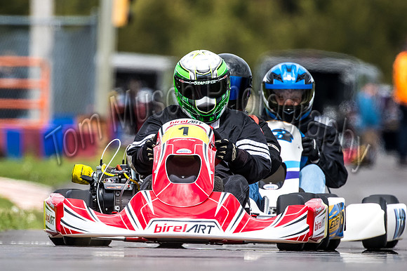 NZ9_4088