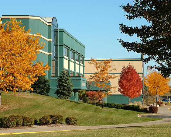 School Colors