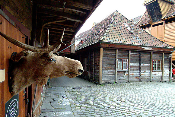 Travel photos from around the world.