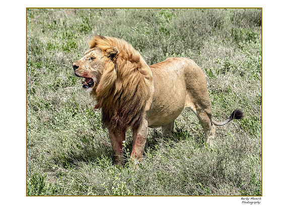16x20-105-BK-OLMY6282