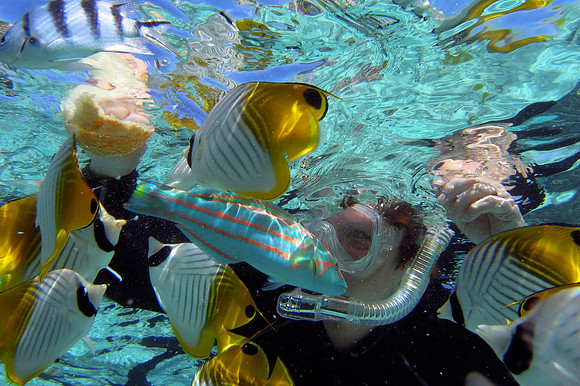 Travel photos from around the world.