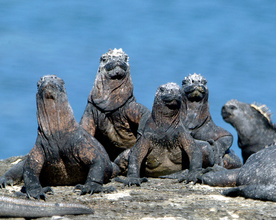 Travel photos from around the world.