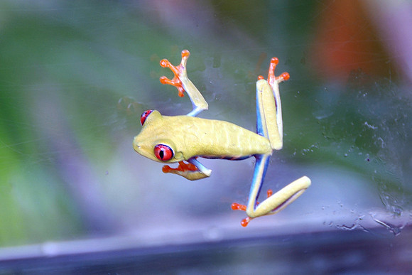 Travel photos from around the world.