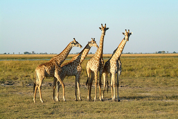 Travel photos from around the world.