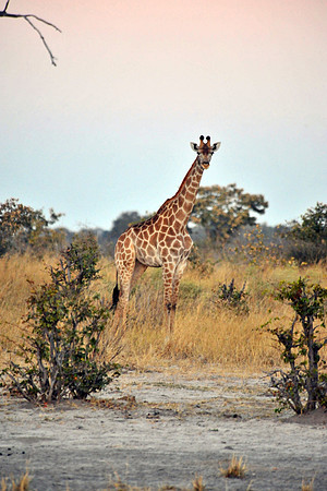 Travel photos from around the world.