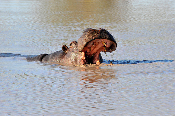 Travel photos from around the world.